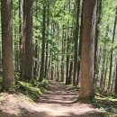 Wonderland Trail in Mountain Rainier National Park in Washington 이미지