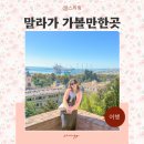 법인피카소 | 스페인 남부 여행 말라가 가볼만한곳 퐁피두센터 피카소 미술관 알카사바 마이유럽