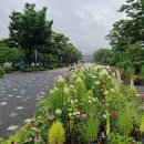 오닭먹자 이미지