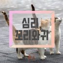 참누리동물병원 네이버블로그