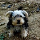 슬치휴게소 이미지