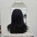 카카몽 애견미용실 | 영종도 운남동 신상 미용실 추천 애견동반 O&#39;yu 오유헤어, 손상모 복구 클리닉 잘하는 곳 후기