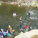 화수목펜션 이미지