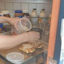 림벅와플양평동점 이미지