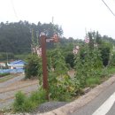 소안경로당 이미지