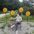 양지파인글램핑 | [용인글램핑 추천] 양지파인리조트 내 보고숲속글램핑 솔직후기