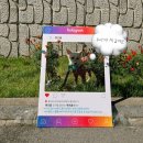(주)펫앤펫츠 | 반려견 사료 동결견조 펫츠홈 펫페어 후기 일산 동결건조 펫페어