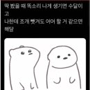 미스터초밥 이미지