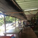 상록수민박 이미지