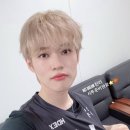 상하이노래빵 이미지