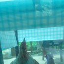 이순농장 이미지