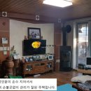 소나무공인중개사사무소 Daum카페