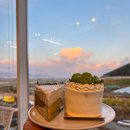 빈인더바스켓(bean in the basket) 이미지