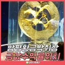 오복테크