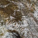 빨간풍차과자점 이미지