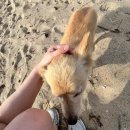 MOJO STAY | 강원도여행 여름휴가 (내돈내산)고성 해변가 숙소, 여룸휴양지 모조스테이