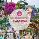 섬진강기차마을 로즈홀 | 곡성 세계 장미축제 장미공원 섬진강 기차마을
