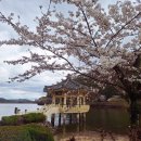 금오산도립공원 해운사 화장실 | 구미 금오산 케이블카 타고 해운사 대혜폭포 도선굴 (금오지 금오랜드)