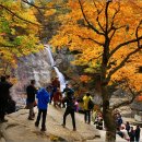 만추 - 달성군 테크노상업로4길 17-1 | 만추