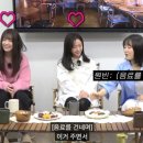 서주당 | 한지민, 한효주, 박보영, "원빈 실물 보면 말이 안 나온다"... '핑계고'서 밝힌 체감 후기