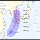 고니나라 머니투데이