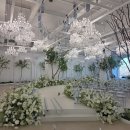 만촌 | W1. 대구 만촌 인터불고 웨딩홀 계약 후기