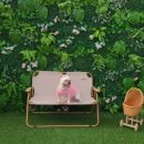 멍아일랜드 이미지