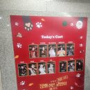 대치어린이집 | 겨울방학 장화신은 고양이 비긴즈 어린이 뮤지컬 관람후기 KT&amp;G 상상마당 대치아트홀