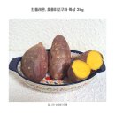 해남군-01 | 전남 해남 호풍미고구마 건강한 단맛 겨울간식 호박고구마 W/민들레몬