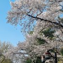 사업장부설 | 고양행주산성, 주말 나들이하기 좋은 코스(주차정보,야간개장)