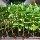 태농농장 이미지