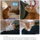 해피 홀쇼핑 | [5月] 회피가 안되면 해피하십시오
