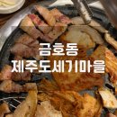 도세기마을 이미지