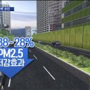 하늘담쟁이 이미지