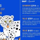 인생내캣