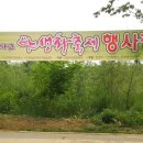 2010년 인천 드림파크 야생화축제에서의 양귀비꽃 이미지