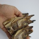 고바이제이 이미지