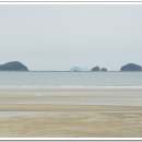 장삼포해수욕장 이미지