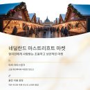 베스트마켓 티스토리