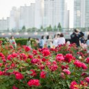 먹골역2,3번출구 이미지