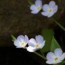 그린바다 이미지