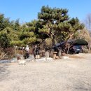 삼삼옻닭