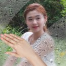 바네 이미지