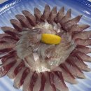 산해미활어회센타 이미지