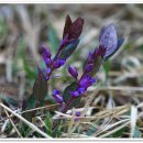 도비산 등산로 이미지