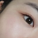 코코델리스