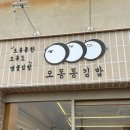 오동동분식 | 오동동김밥, 여수 엑스포역 근처 오동도 맛집 갓김치김밥 후기