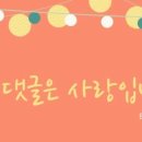 딜리버리쿡 이미지