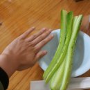 하루&라라 네이버블로그