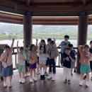 용인대 이충현 태권도장 이미지